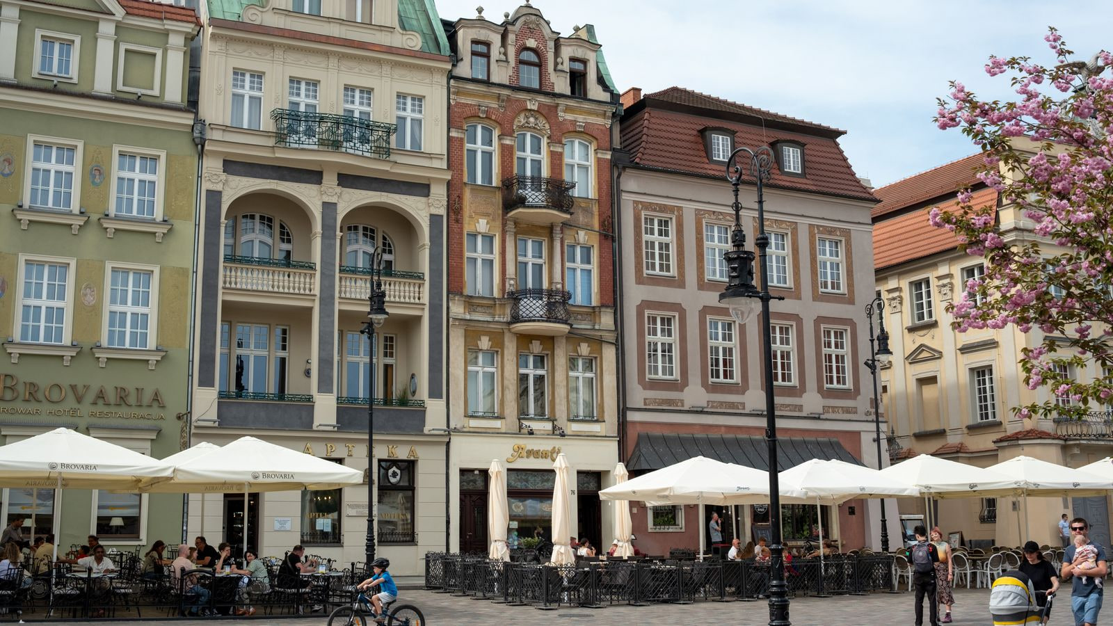 Kamienice i ogródki na płycie Starego Rynku w Poznaniu