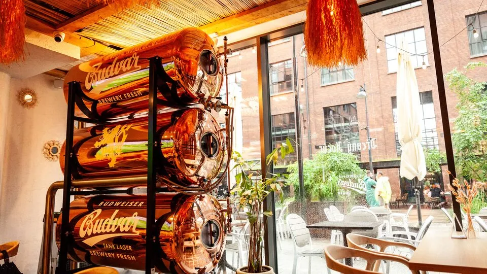 Regał z piwem Budweiser Budvar przy oknie – Dřevný Kocúr Gdańsk