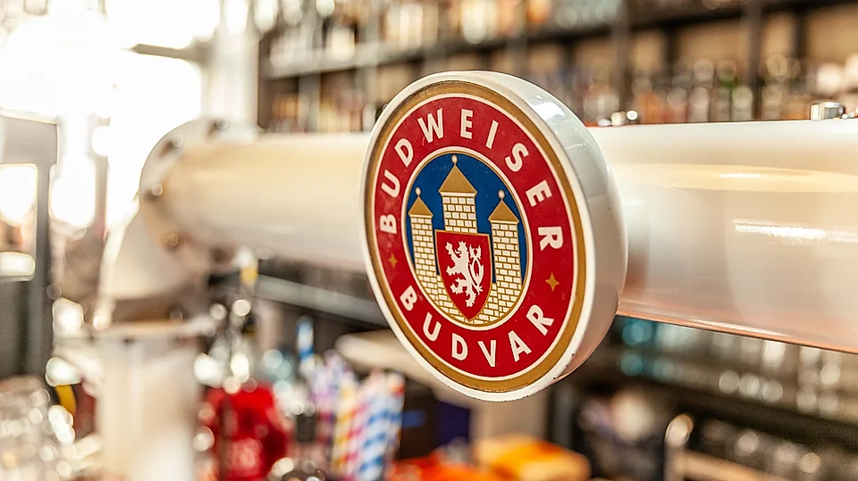 Budweiser Budvar beer tap – tank pub in Poznań