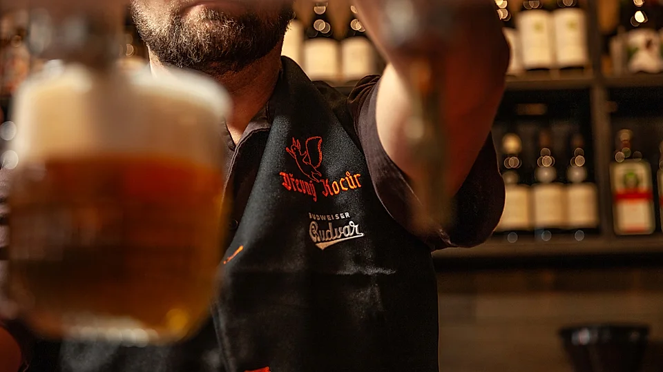 Bartender pouring tank Budweiser Budvar – Czech beer in Poznań