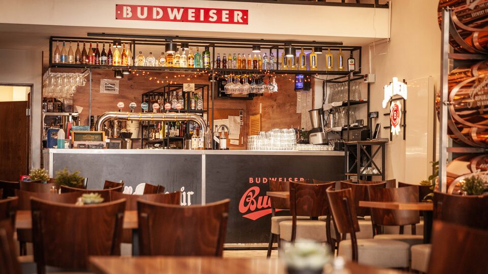Bar z czeskim piwem w Dřevný Kocúr – restauracja czeska przy Rynku we Wrocławiu